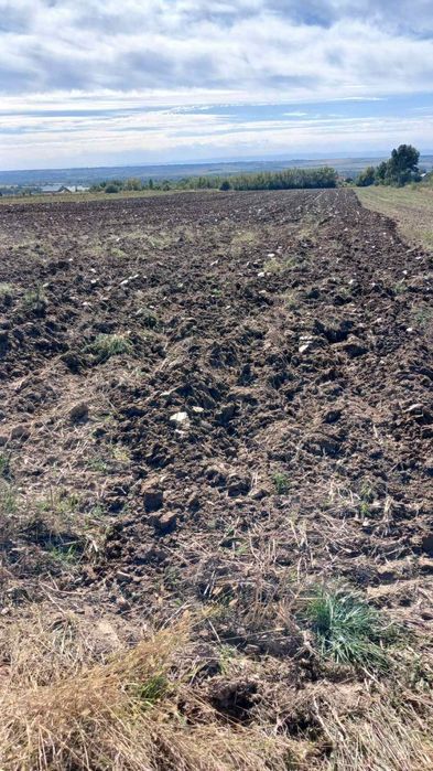 Плуг 5 корпусний