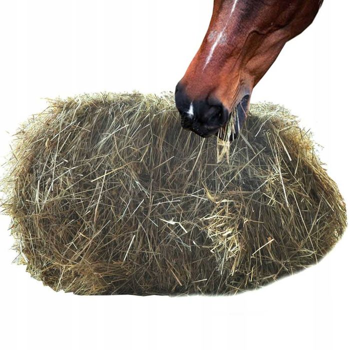pasza karma siano kostka dobrej jakości