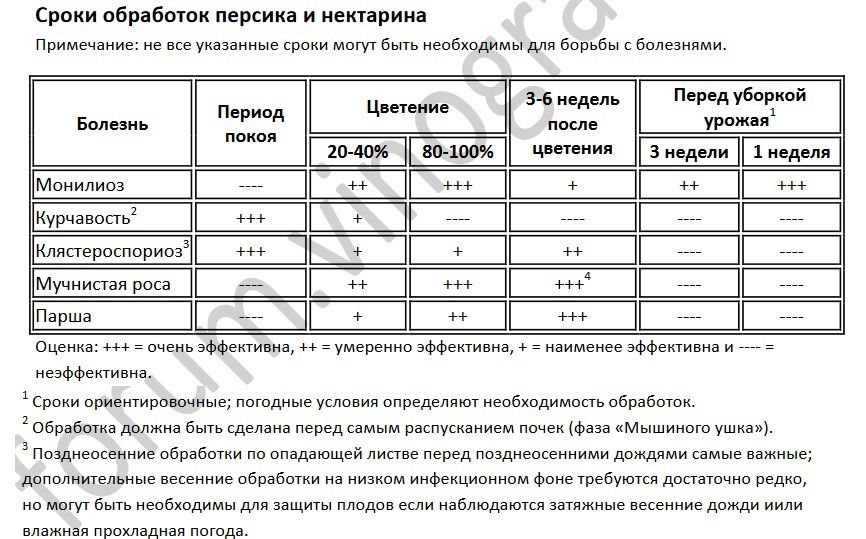 Обработка сада.Опрыскивание фруктовых. Обрезка сада.Садовник.
