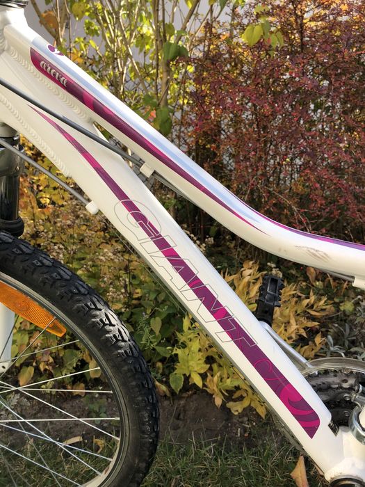 Rower Giant Areva 24