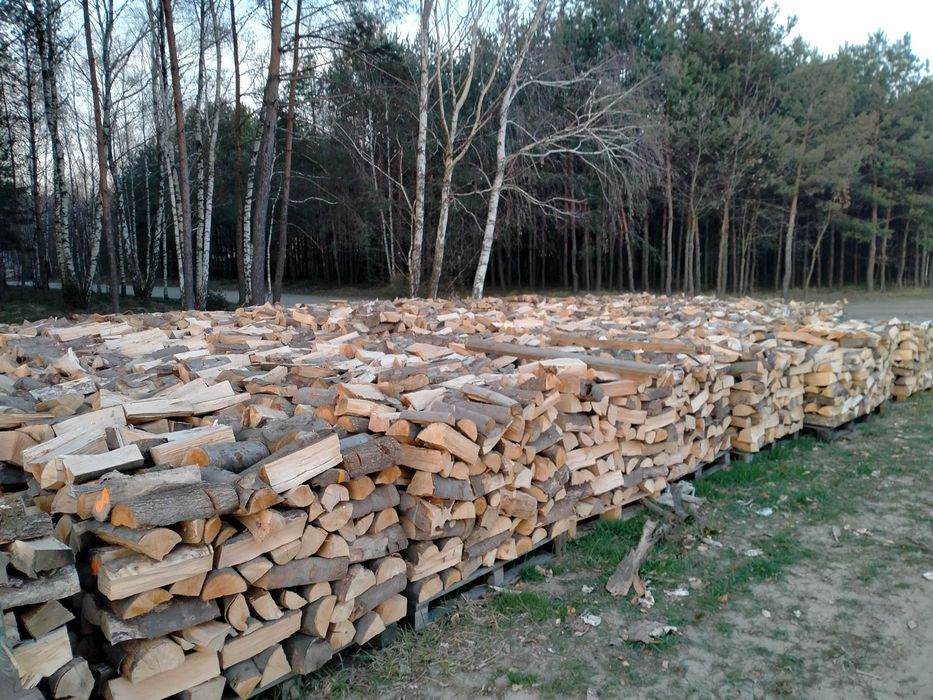Drewno Bukowe Sezonowane Kominkowe Opałowe Odolanów I Okolice