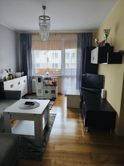 Wynajmę sloneczne mieszkanie w Chelmży - blisko Torunia . - Widok 6