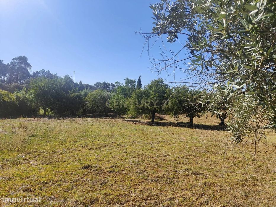 Terreno de 20.240 m², Torres Novas Chancelaria — Chancelaria, Santarém