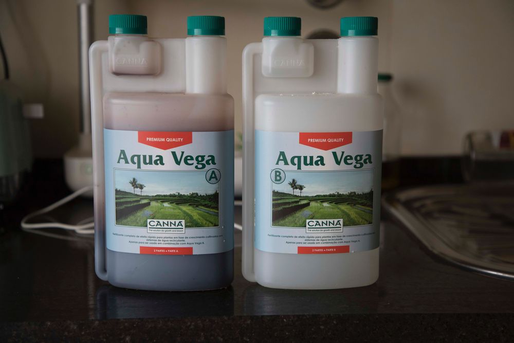 GrowIt Flex Kit de Iniciação Klarstein + Líquidos