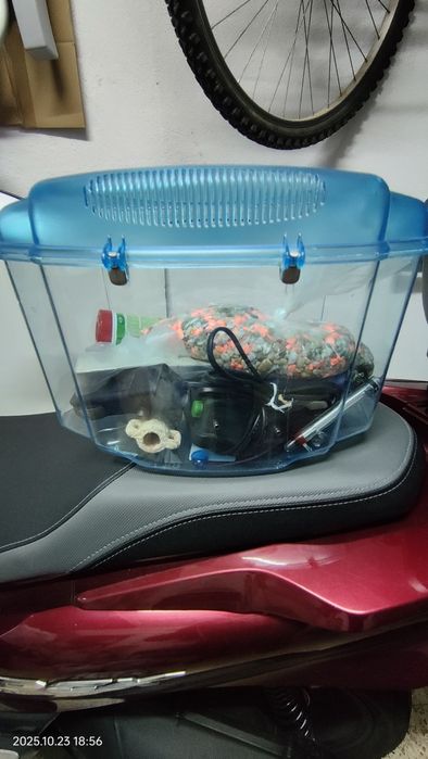 Aquário e acessórios