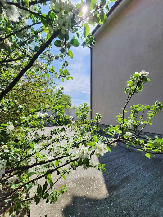Від власника. Без комісії. Продам Будинок, Боярка, Віта Поштова.
