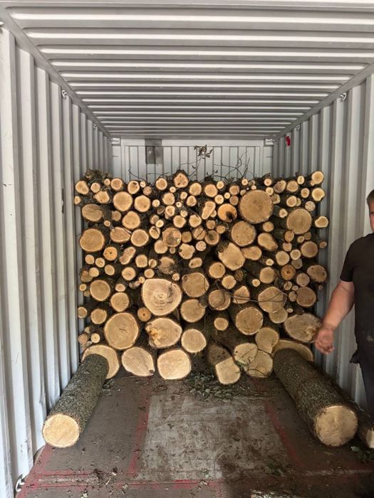 Від 50 скм в наявності Береза/Сосна/Вільха 2 м Дрова ОПТ Віницька область Доставка