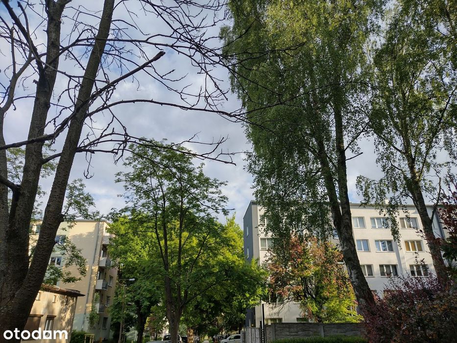 Doły/niski blok