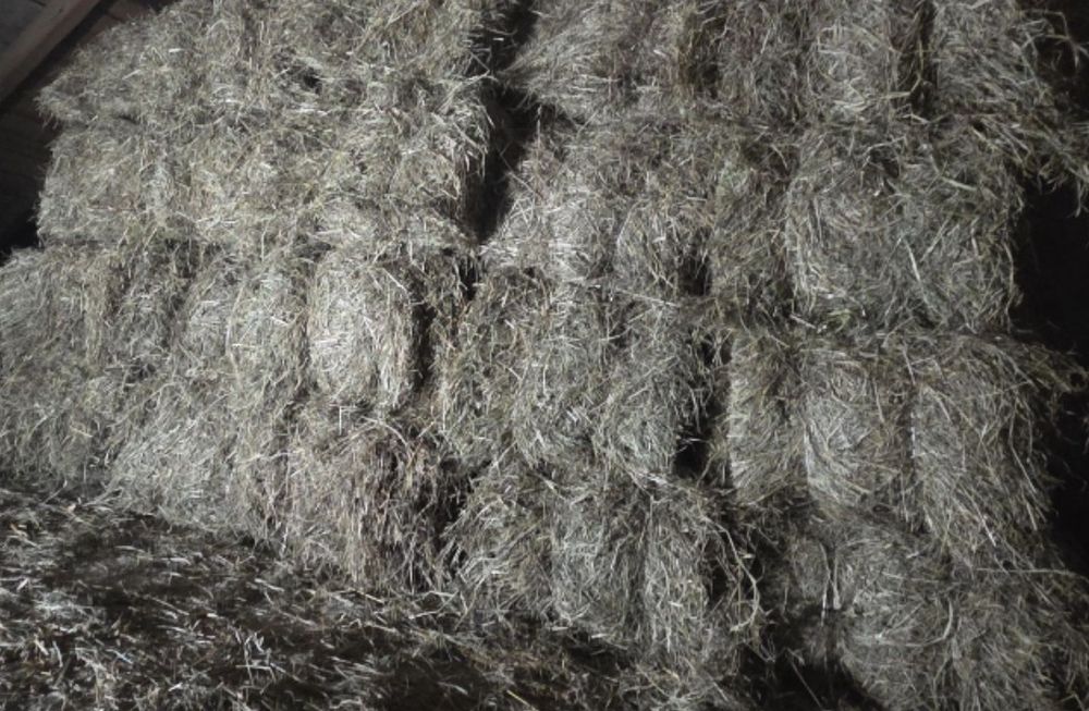 Sprzedam siano w kostkach  i słoma w belkach2025 r