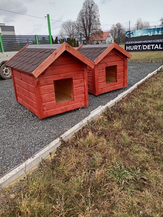 Buda dla dużego psa