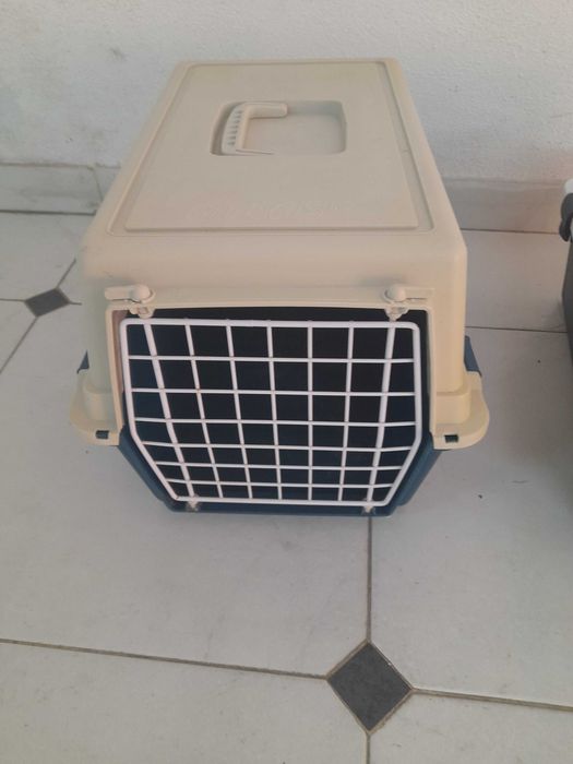 Transportadora gato nova