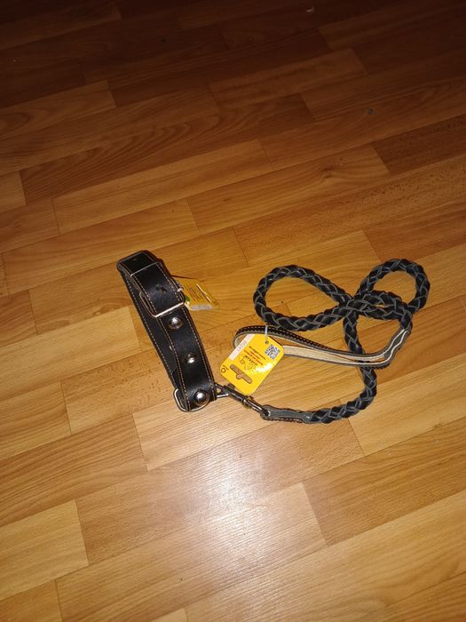Шкіряний ошийник + шкіряний повідець для собак
