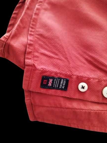 Camisa de homem Lion of Porches