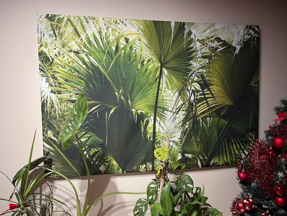 piękny duży obraz Monstera, Las z ramą  - 120x80 cm -