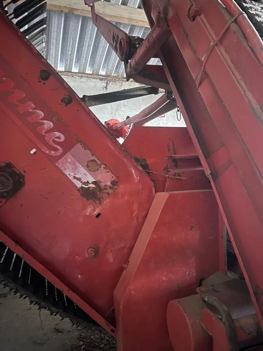Grimme DL 1500 zbieraczka do cebuli