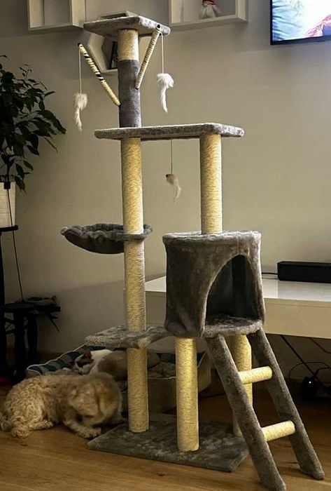 Nowy wysoki drapak dla kota