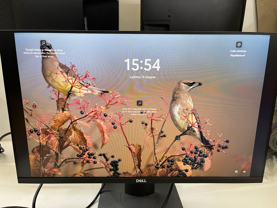 Монітор DELL P2419H 24 дюйма