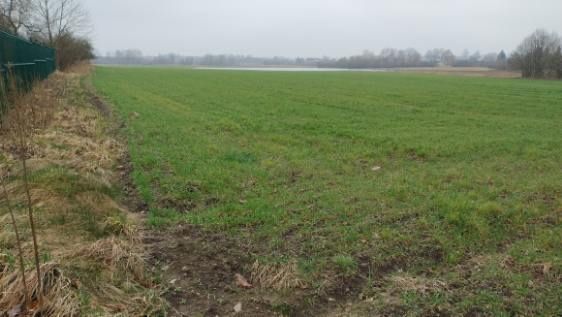 Sprzedam działkę siedlisową z WZ Łabuń Mały - Widok 4