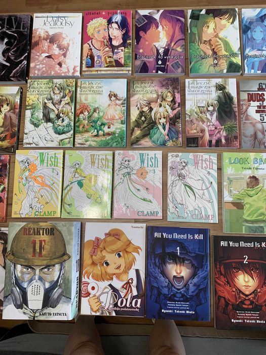 Zestaw mang i książek