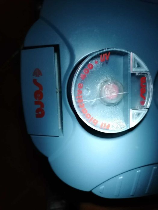 Aquário 1m completo com peixes e plantas