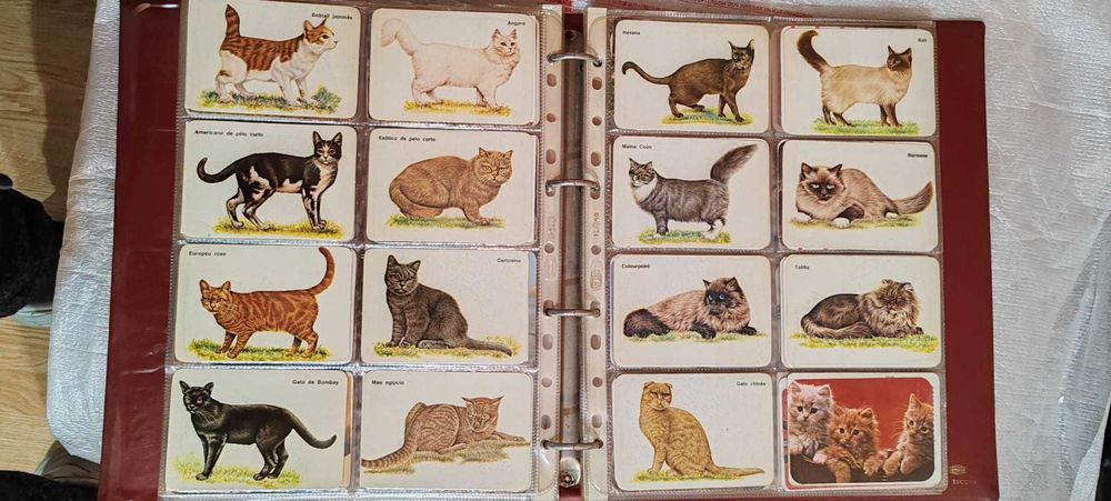 Coleção calendários diversos vintage