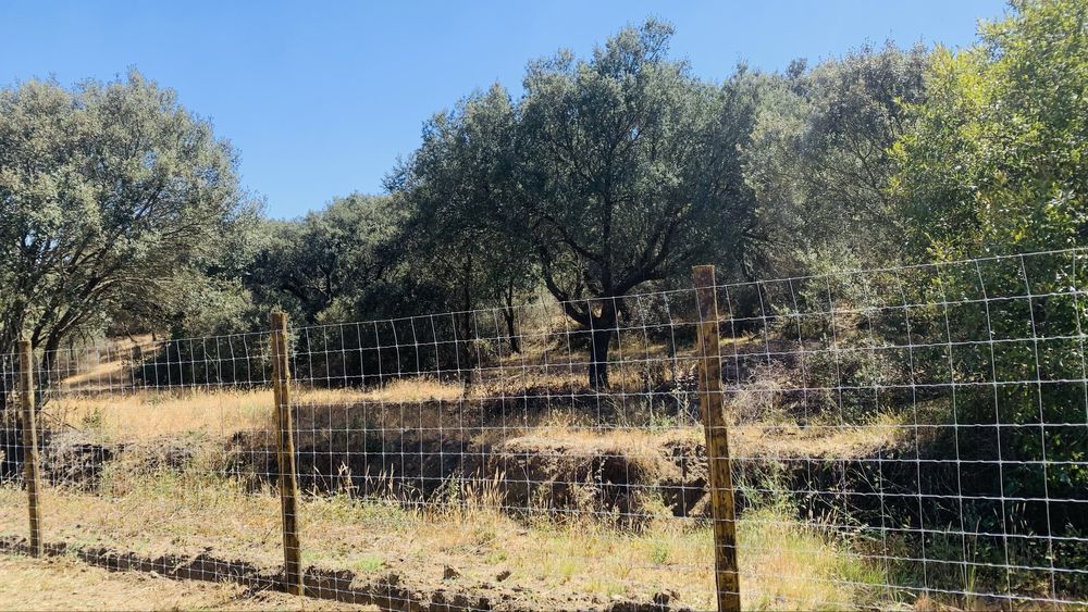 Vedacoes Vedacao Cercas