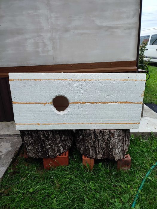 Будинок для кішок