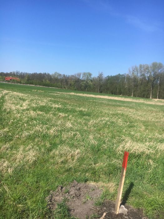 Działka budowlana blisko jeziora Strykowskiego i lasu Januszewice - Widok 5