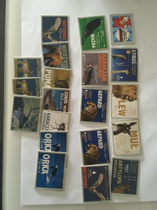 Mr snaki cheetos lays zwierzeta chio star foods chipicao star chips