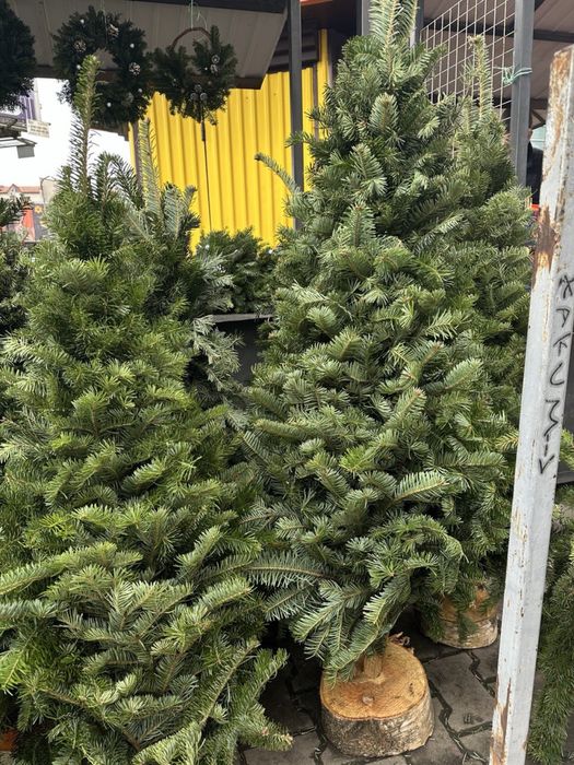 Ялинки, вінки та вмроби з хвої
