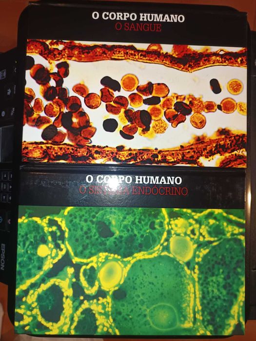 O Corpo Humano Coleção