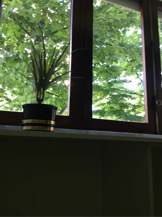 Quarto Benfica-Fonte Nova