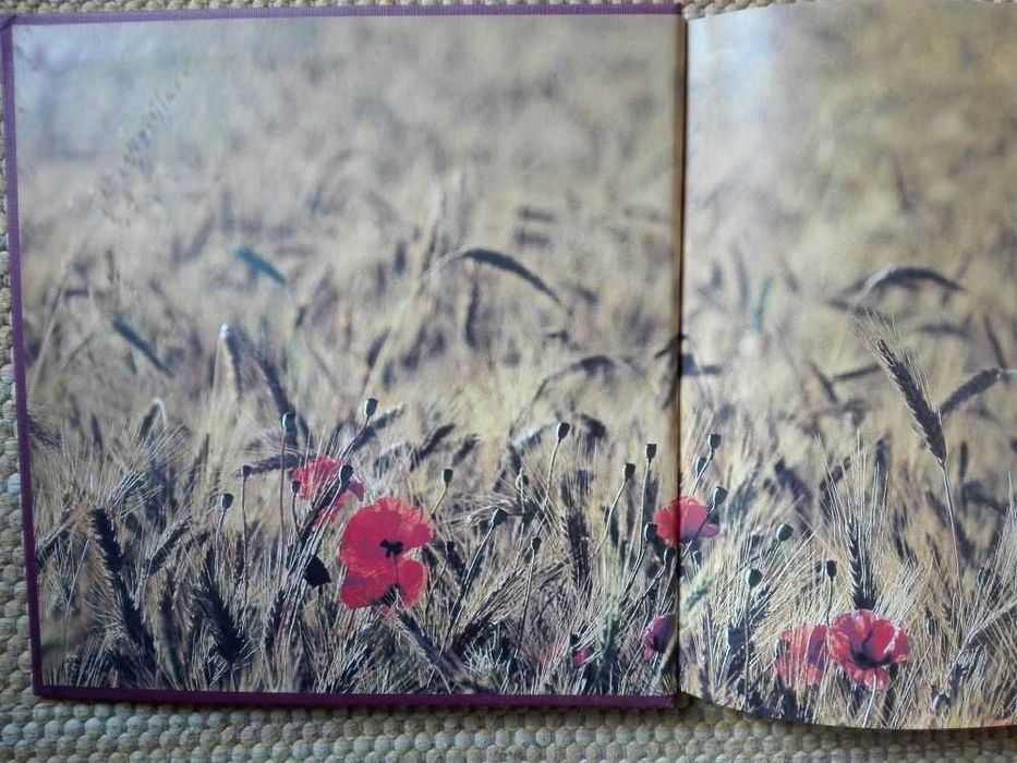 Livro Monsaraz e o seu reguengo | and its royal estate de Rui Cunha