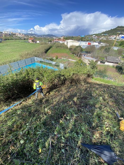 Limpeza de terrenos