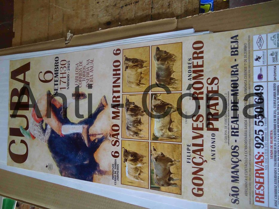 Toiros - Cartazes de Montra 5