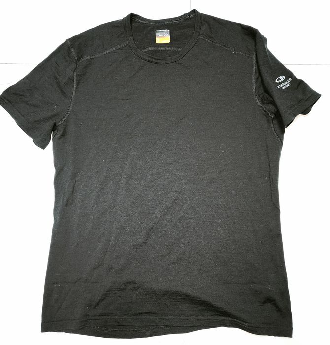 Футболка меринос Icebreaker Mens 200 Oasis SS Crewe 50-52.