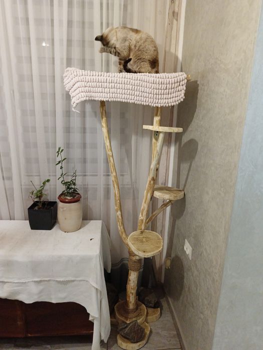 Когтеточка, будинок для кішки чи кота