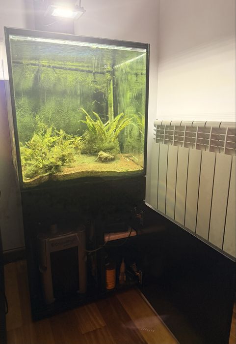 Aquario completo 100l