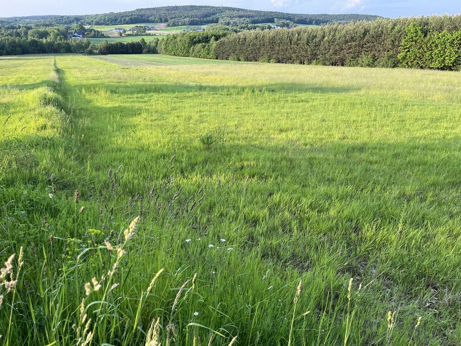 Działka budowlana 26 arów + 62ar Rolna ,MPZP .Media