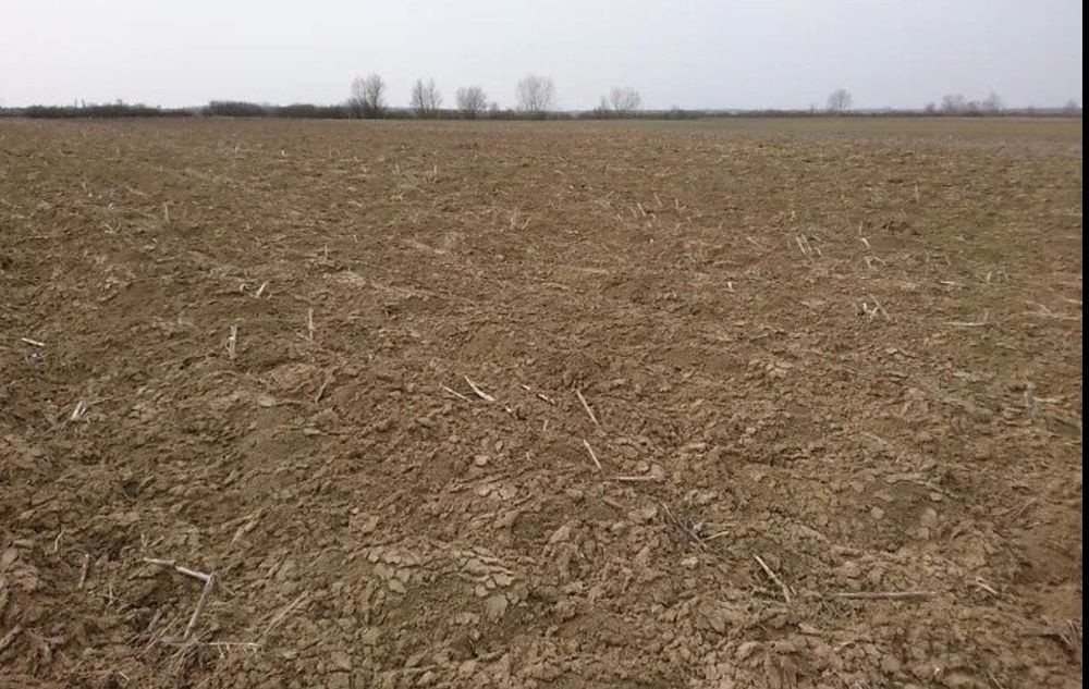 Продаж двох земельних ділянок разом 22,64 сотин. с.Попово, Берегово.