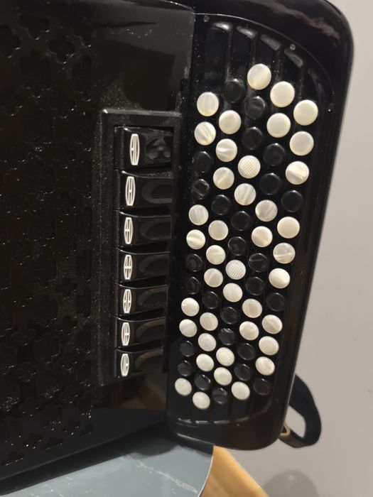 Akordeon Guzikowy Delicia Sonorex 19s Special 96 basów