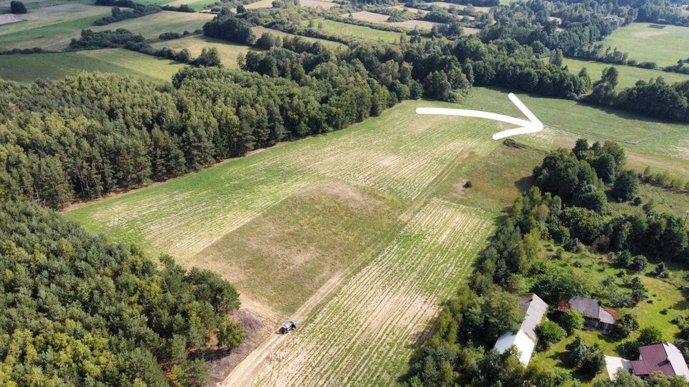 Działka rolno-budowlana 3000 m² wśród lasów i jezior – Huta