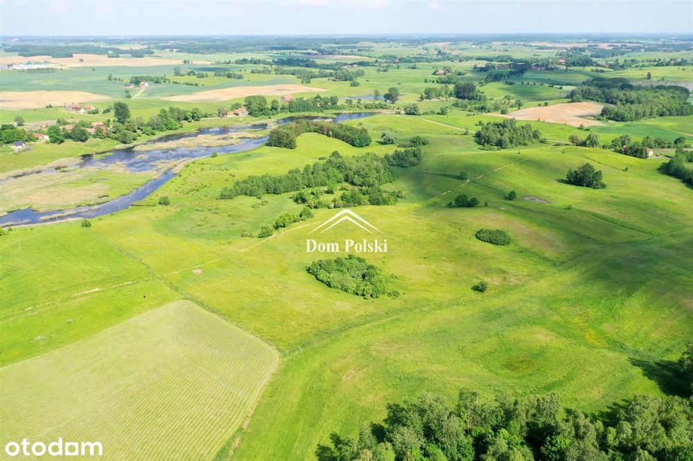 Działka z warunkami zabudowy - 7,28 ha - Świętajno - Widok 5