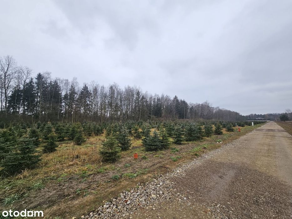 Działka budowlana o powierzchni 1141 m²