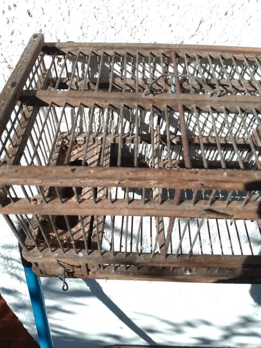 Gaiola com ripas estreitas