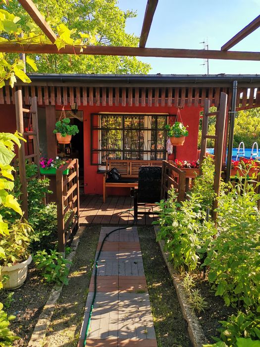 Ogródek działkowy  ROD Jaśmin  . Zabrze