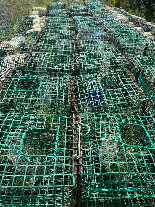 Covos para pesca do polvo !