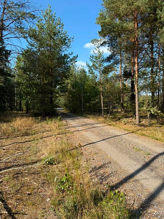 Okazja! Duża, piękna działka, bezterminowe WZ, 50 min z Warszawy - Widok 3