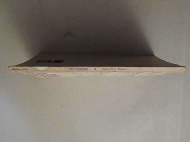 Um Esquema de Clara Pinto Correia