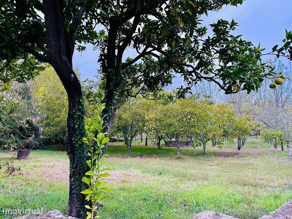 Dois artigos: Urbano com 498 m2 e terreno rústico com 1000 m2 em Vilar
